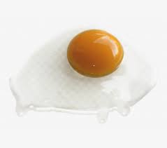 Broken Egg Egg Clipart T Egg Yolk Ome 588933 Png Images Pngio 120 watchers4.8k page views22 deviations. broken egg egg clipart t egg yolk