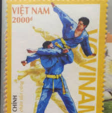 Literally meaning vietnamese martial arts, or vietnamese: Vovinam Viá»t Vo Ä'áº¡o Publications Facebook