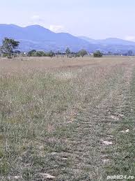 We did not find results for: Vand Teren Intravilan 8600 0 Mp Front Stradal 29 50 Rasnov Brasov Publi24