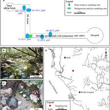 The hot spring was kinda fun too, there's 3 different temperatures for you to choose from, pick the one you are able to cope with. Sungai Klah Hot Spring A Illustration Of Ph Temperature And Download Scientific Diagram