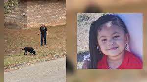 Cadaver dog called in to help in search for missing 2-year-old Alabama girl