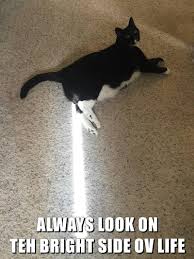 Always Look On Teh Bright Side Ov Life Lolcats Lol Cat Memes Funny Cats Funny Cat Pictures With Words On Them Funny Pictures Lol Cat Memes Lol Cats