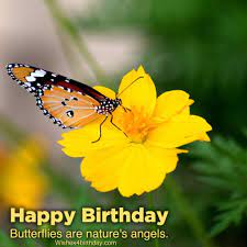 Happy birthday wishes nature