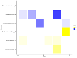 Image result for Beilschmiedia rwandensis