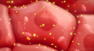 Popular Diabetes Drug May Contain A Carcinogen Heartburn Medication Metformin Diabetes