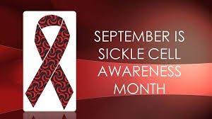 Awareness of health issues is important for visibility and community. Local Organization Hopes To Use Sickle Cell Awareness Month To Educate On Forgotten Disease Theburg