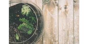 Terrarium Workshop