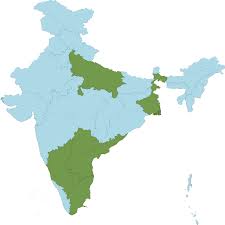 Image result for Vahlia digyna