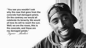 Aren't you tired of waiting? Rose From Concrete Tupac Quotes Quotesgram
