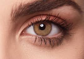 Honey Hazel Contact Lenses Swati Cosmetics In 2020 Coloured Contact Lenses Lenses Color Lenses