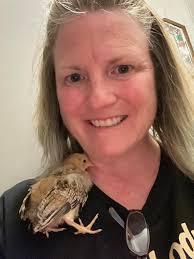 BYC (BackYardChickens)