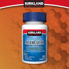 Kirkland Signature Nondrowsy Allerclear Antihistamine 10mg 365 Tablets Sunburn Relief Instant Allergies Outdoor Allergy
