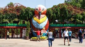 Gaziantep Hayvanat Bahcesi Turu Gaziantep Com Hayvanat Bahceleri Hayvan Kizil Geyik