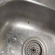 While they do not pose a health threat, they can make it impossible to get a good night's sleep, which. World Wide Pest Control 12 Photos Pest Control 5808 Interstate 10 Frontage Rd San Antonio Tx Phone Number