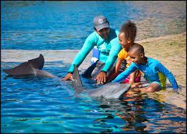Interacting With Dolphins At Atlantis Resort Dolphin Cay In Nassau | Julie  Elsdon-Height