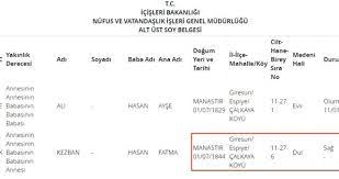 E Devlet Soy Agaci Sorgulayan Kisi Sayisi Zirveye Ulasti Rekor Rakamlar Guncel Haberleri