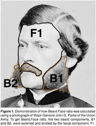 Check spelling or type a new query. The Greatest Beards Of The Civil War In One Chart The Washington Post