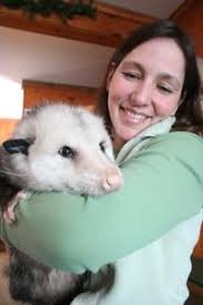 Gienow is the Who's Who of Hinterland