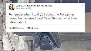You'd think that the megabat the. People Are Only Now Learning About Human Sized Megabats Iflscience