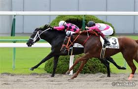 サウスヴィグラス産駒スマートモリガンがクビ差しのぎ切る 京都新馬 競馬ニュース 競馬ラボ
