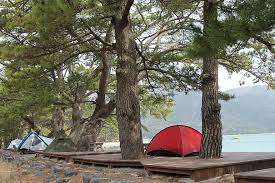 At night, there's a beautiful sky to gaze at the stars.there are many different types of beaches to camp on, from the secluded, rocky coves of northern california to the white sand tropical beaches of. Tent Camping Sea Campground Beach Wood Scenery Nature Morning Pikist