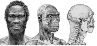 All History is Black History