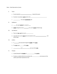 Chapter 16 Lesson 2 The Male Reproductive System