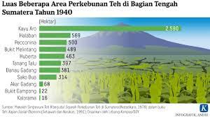 Kebun teh tambi sapuran wonosobo tempat yg sejuk & indah udaranya seeger banget cuy. Oase Teh Di Alam Rimba Jelajah Kompas