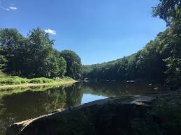 Cook forest state park's forest cathedral of towering white pines and hemlocks is a national natural landmark. Amazing Review Of Cook Forest Canoe Rentals Cooksburg Pa Tripadvisor