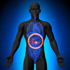 Check spelling or type a new query. Recognizing Symptoms Of A Gallbladder Attack Florida Medical Clinic