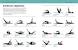 Pilates Mat Workout Routines