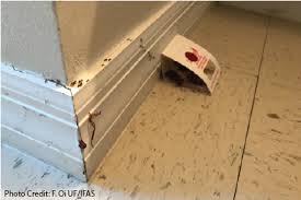 As a pest control tech, the pest control firm hols some responsibility here in that, to make the bottom line, many give insufficient time for such an endeavor. Selecting A Pest Control Company In Florida Pests In The Home
