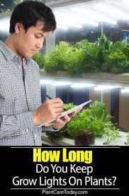 Outdoor conditions are mimicked with varying colour, temperatures and spectral outputs from the grow light, as well as. How Long To Keep Grow Lights On Plants Growing Plants Indoors Grow Lights Growing Plants