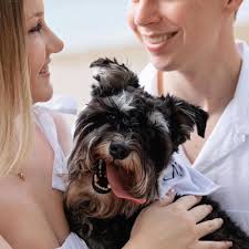 Hailey York and Ben Zalupski's Wedding Website