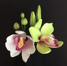 Gum Paste Moth Orchid And Cymbidium Orchid Hand Made And Painted By Kathy Cake Decorating Flowers Gum Paste Flowers Sugar Flowers