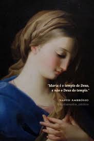 Daniel Selmer (danielselmer) — Perfil