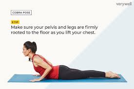 Start Your Yoga Practice With A Sun Salutation Warm Up Sequence Essential Yoga Poses Yoga Poses For Beginners Yoga Poses