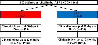 Figure 1 From Prognostic Impact Of Atrial Fibrillation In