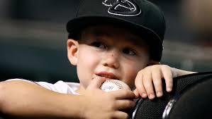 Arizona Diamondbacks fans 2016