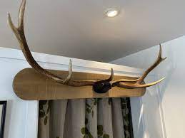 Maybe you would like to learn more about one of these? Deer Antler Coat Rack Orakei Objet Antiques Art Furniture And Collectibles In Auckland