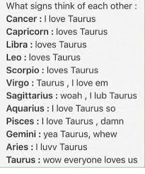 The crab's emotional nature can be hard and overwhelming for the archer to accept. What Signs Think Of Each Other Cancer I Love Taurus Capricorn Loves Taurus Libra Loves Taurus Leo Loves Taurus Scorpio Loves Taurus Virgo Taurus I Love Em Sagittarius Woah I Lub Taurus