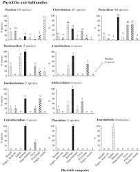 Image result for Heteranthoecia  guineensis