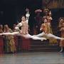 Profile Picture of Roberto Bolle's Farewell Bow - ABT - American Ballet Theatreon Google