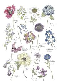 Floribunda A Flower Coloring Book By Leila Duly World S Etsy In 2020 Flower Drawing Tree Drawing Drawings