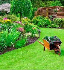 Gambar wallpaper taman bunga gudang. Latar Belakang Kayu Pot Bunga Taman Bunga Latar Belakang Fotografi Pemandangan Latar Belakang Untuk Foto Studio J01672 Backgrounds For Photo Studio Background For Photophotography Backdrops Background Aliexpress