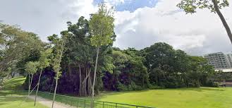Growing up in johor, his favourite holiday. Heng Swee Keat Here S Your East Coast Plan Ok 99 Co