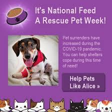 The Animal Rescue Site Click To Feed Rescue Animals In 2020 Animal Rescue Site Animal Rescue Rescue