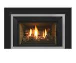 LRI4E Medium Traditional Gas Fireplace Insert | Regency