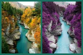 Pinterest S Viral Purple Trees Debunked Escapenormal Fairy Pools Purple Trees Isle Of Skye