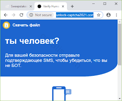 I have 2 security apps: Remove Unlock Captcha2021 Com Virus Removal Guide Wildcat Cyber Patrol